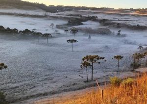 Geada no Paraná